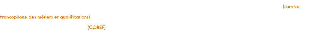 En 2013, j’ai eu l’opportunité d’intervenir en tant que consultante pour le sfmq (service francophone des métiers et qualifications) afin d’établir un « référentiel des compétences professionnelles des instructeurs fitness » (COREF).